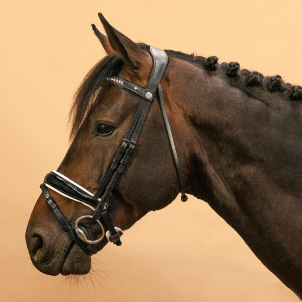 Dressur-Trense 900 Pony/Pferd schwarz