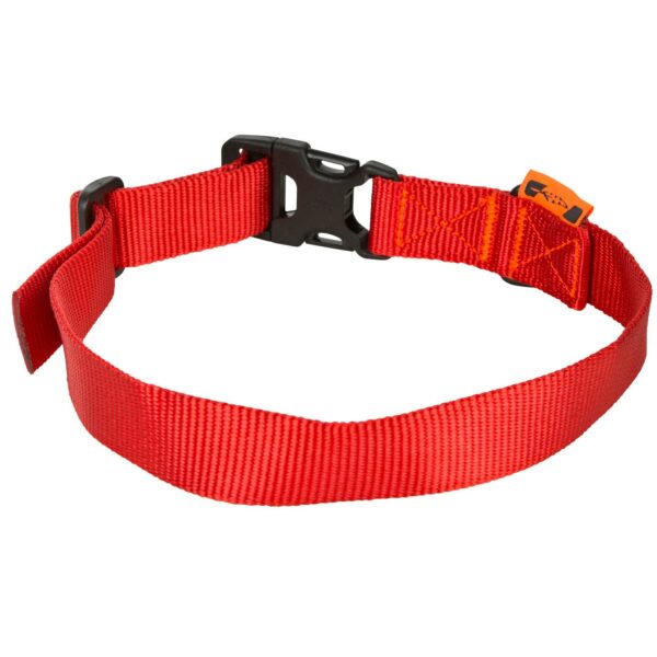 Hundehalsband 100 rot