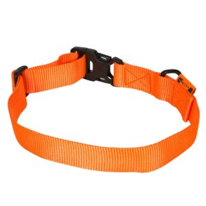 Hundehalsband orange100