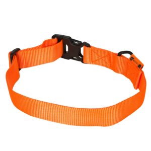 Hundehalsband orange100