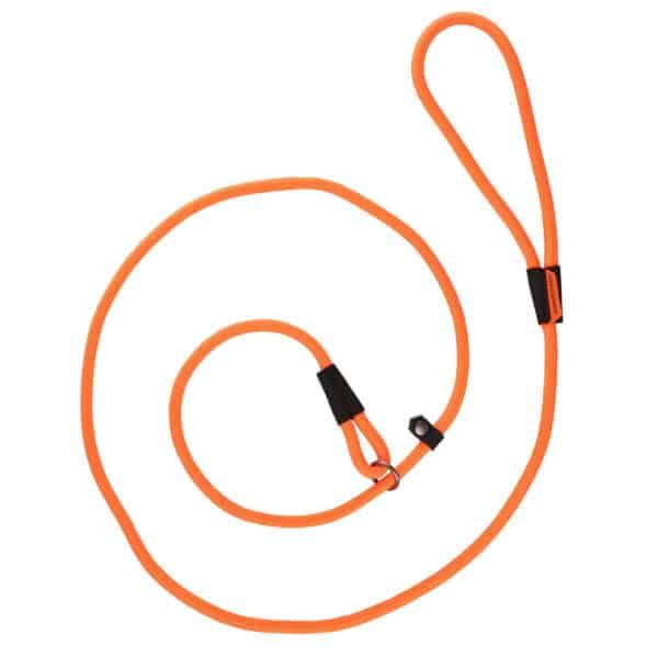 Hundeleine LASSO 100 orange