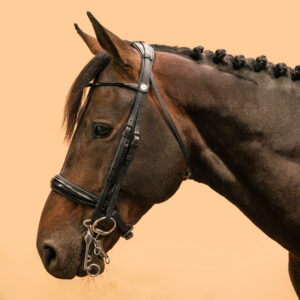 Kandarenzaum 900 Pony/Pferd schwarz