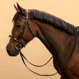 Trense + Zügel Schooling Leder Pony/Pferd schwarz