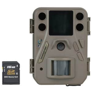 Wildkamera BG500 mit Bildschirm LCD