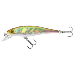 Wobbler Jerkbait MINNOW WXM MNW 65 SP grüner Rücken