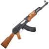 ASG Arsenal SLR105 AEG Airsoft Sturmgewehr Komplettset -