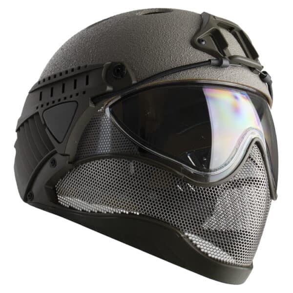 WarQ Fullface Airsoft Schutzhelm (RAPTOR-Grey)