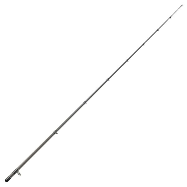 Ersatzspitze Spinnrute WXM-9 210M