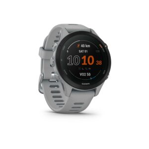 GPS-Smartwatch Garmin Forerunner 255 hellgrau