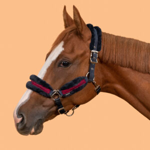 Halfter Comfort Pony dunkelblau/rosa