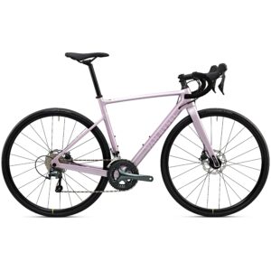 Rennrad NCR CF Tiagra lila