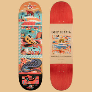 Skateboard-Deck 8.5" - DK500 Ahorn Popsicle Grafik von Loic Lusnia